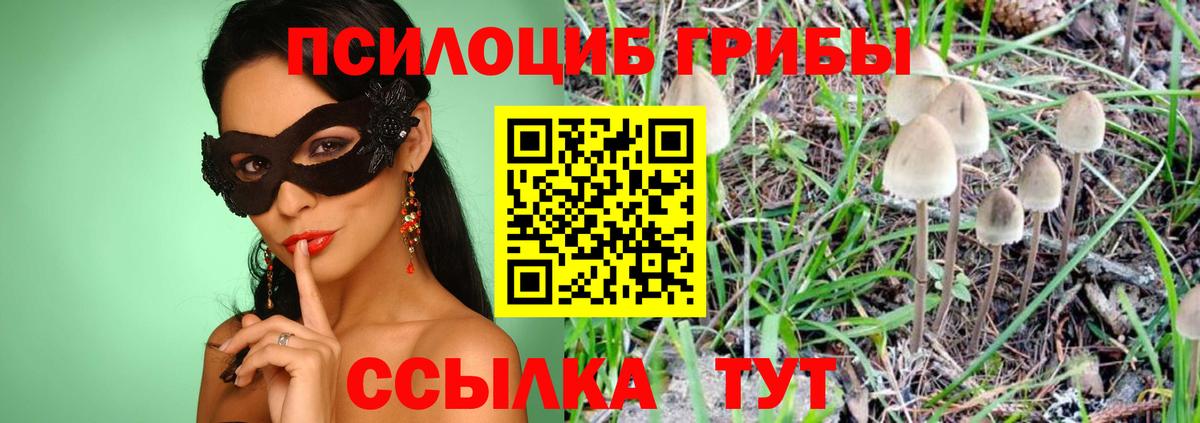 Галлюциногенные грибы Psilocybine cubensis  Вход с VPN  Кинель 