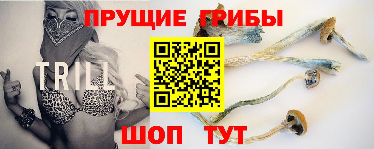 Псилоцибиновые грибы ЛСД Кинель