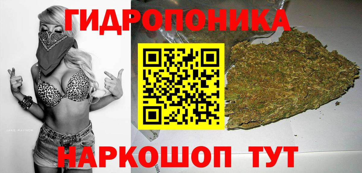 Шишки марихуана индика Кинель